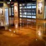 The_Jungle_at_Comerica_Park_Detroit_Seamless_epoxy (41)